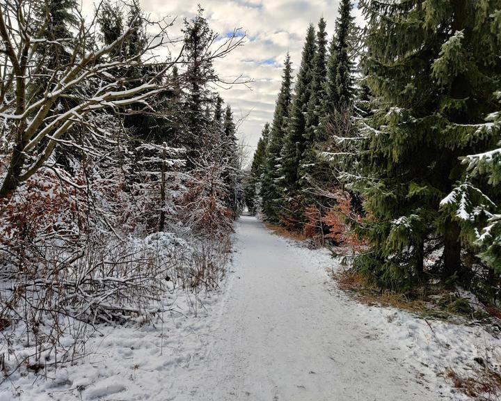 Waldschänke Altes Raupennest